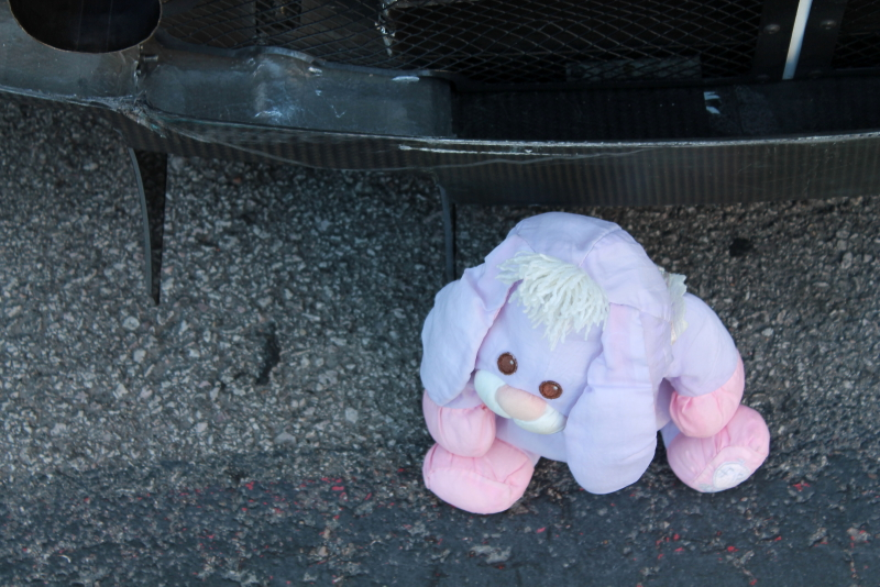 Illustration for article titled If All Else Fails, Blame Fluffy Bunny For Your Race Car's Problems